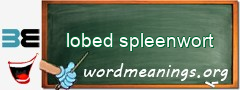 WordMeaning blackboard for lobed spleenwort